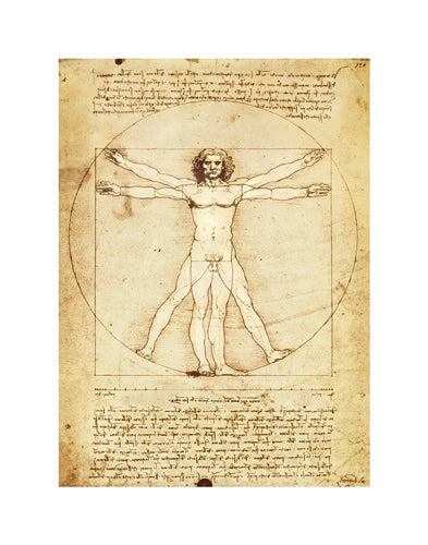 Framed Art Vitruvian Man, 1492 by Leonardo da Vinci | 14 x 11