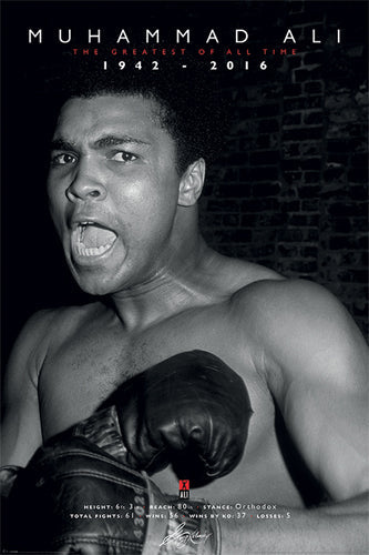 Framed Art Muhammad Ali: The Greatest of All Time Commemorative 