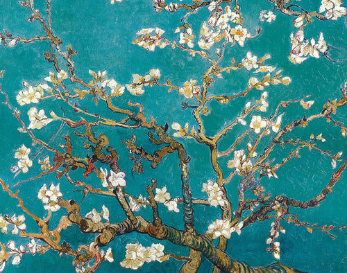 Framed Art Almond Branches in Bloom, 1890 by Vincent van Gogh | 11 x 14