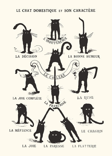 Le Chat Domestique Wall Art | 14 x 11 Fine Art Print