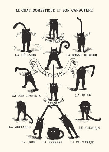 Framed Art Le Chat Domestique 14 x 11