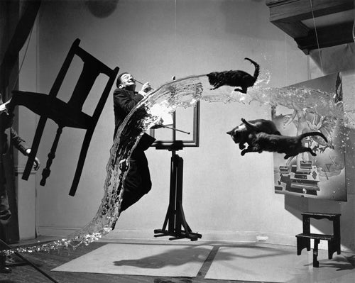 Framed Art Dali Atomicus, 1948 (Unretouched) by McMahan Photo Archive