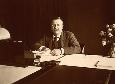 Framed Art President Theodore Roosevelt Portrait, 1907 by McMahan Photo Archive