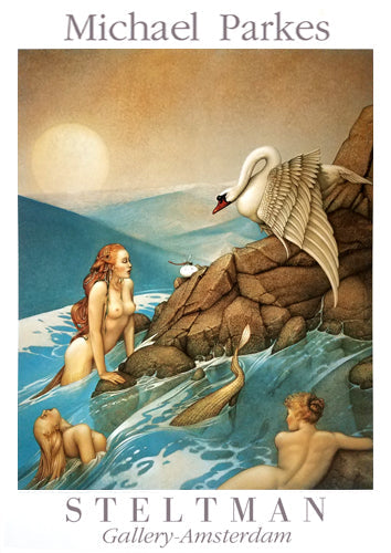 Framed Art Dragon Fly by Michael Parkes | 33 3/8 x 23 5/8
