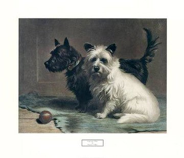 Scotty and Khaki by Margaret Collyer | 25 x 29 Fine Art Print
