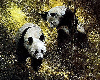 Panda Pair by Spencer Hodge | 20 x 24 Fine Art Print