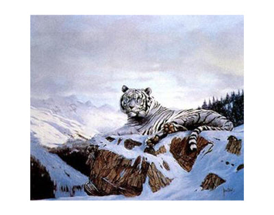 Framed Art Siberian Tiger by Spencer Hodge | 22 x 28