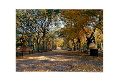 Poet's Walk by Viktor Balkind | 13 x 19 Fine Art Print