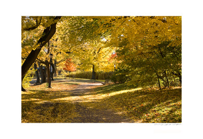 Central Park Path by Viktor Balkind | 13 x 19 Fine Art Print