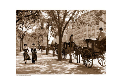 Taxi Stand at Madison Square, 1900 (sepia) Wall Art | 13 x 19 Fine Art Print