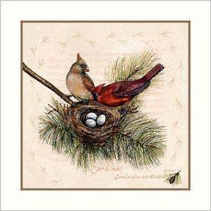 Framed Art Cardinal by Wendy Wegner | 13 x 13