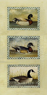 Mallard, Wood Duck and Canada Goose by David Carter Brown