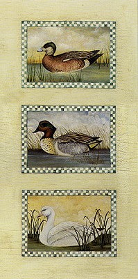 American Wigeon, Green Winged Teal and Snow Goose by David Carter B