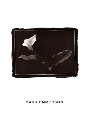 Calla Lily, Bermuda by Mark Emmerson | 12 x 9 Fine Art Print