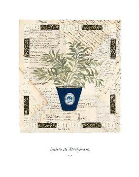 Sage Letters by Isabelle de Borchgrave | 14 x 11 Fine Art Print