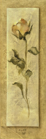 Framed Art Rose Panel by Cheri Blum | 36 x 12
