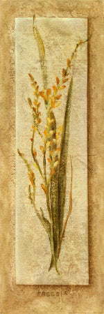 Freesia Panel by Cheri Blum | 36 x 12 Fine Art Print