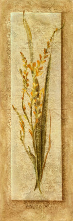 Framed Art Freesia Panel by Cheri Blum | 36 x 12